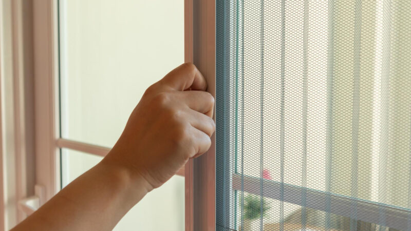 Come installare le zanzariere in una casa in affitto senza fare buchi?